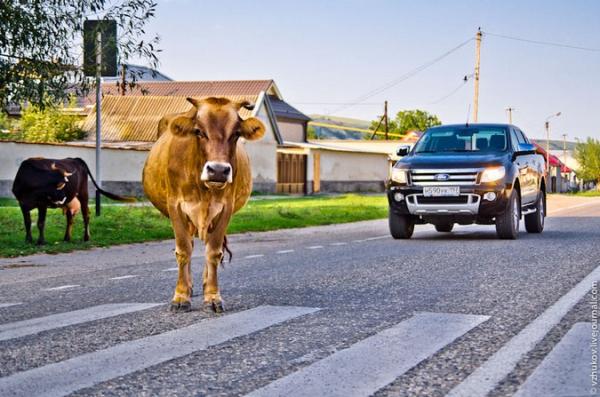 Тест-драйв обновленного Ford Ranger
